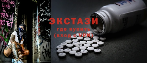 гашик Алексин
