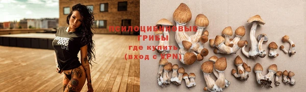 Альфа ПВП Алексеевка