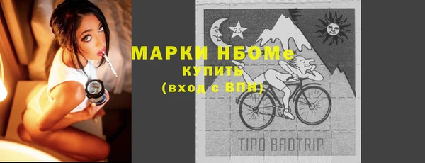 молекула духа Арсеньев