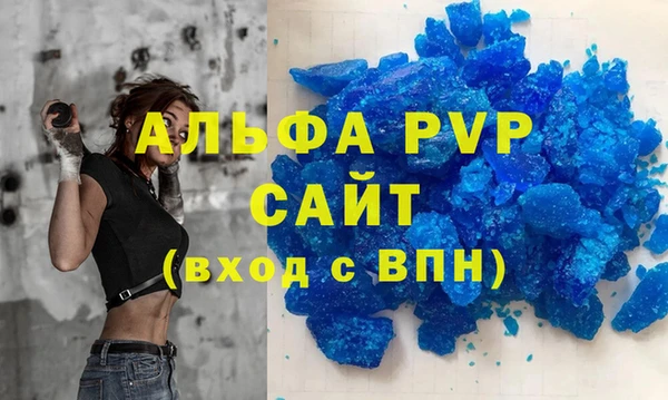 гашик Алексин