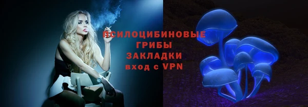 дживик Аркадак