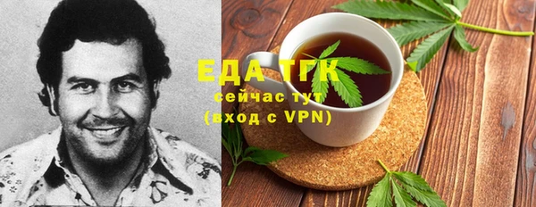 гашик Алексин