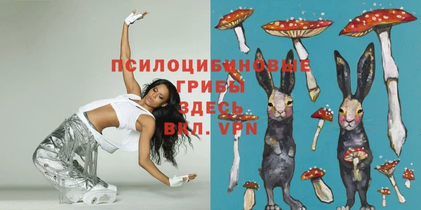 гашик Алексин